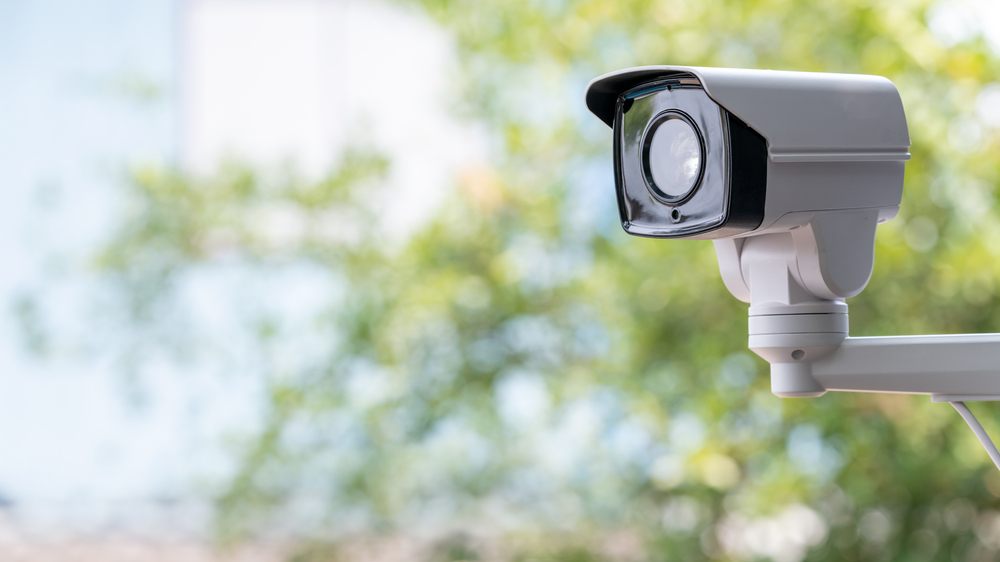 Surveillance (IP) Cameras